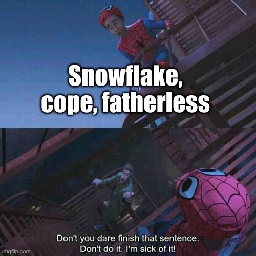 Guys you do know there are other insults | Snowflake, cope, fatherless | image tagged in spiderman | made w/ Imgflip meme maker