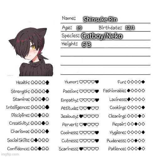 Profile card | Shinsuke Rin; 19; 12/1; Catboy/Neko; 6'3 | image tagged in profile card | made w/ Imgflip meme maker