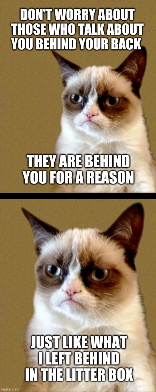  DON'T WORRY ABOUT THOSE WHO TALK ABOUT YOU BEHIND YOUR BACK; THEY ARE BEHIND YOU FOR A REASON; JUST LIKE WHAT I LEFT BEHIND IN THE LITTER BOX | image tagged in grumpy cat,haters,litter box,poop,that face you make,what if i told you | made w/ Imgflip meme maker