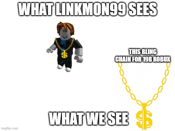 Linkmon99 vs Us | WHAT LINKMON99 SEES; THIS BLING CHAIN FOR 19B ROBUX; WHAT WE SEE | image tagged in blank white template | made w/ Imgflip meme maker