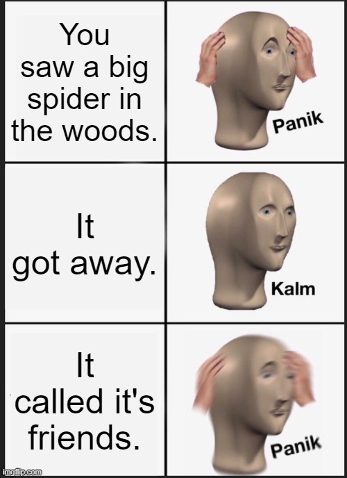 Panik Kalm Panik Meme | You saw a big spider in the woods. It got away. It called it's friends. | image tagged in memes,panik kalm panik | made w/ Imgflip meme maker