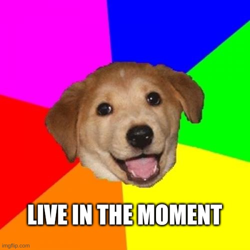 Advice Dog Meme | LIVE IN THE MOMENT | image tagged in memes,advice dog | made w/ Imgflip meme maker