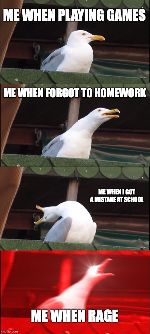 Inhaling Seagull | ME WHEN PLAYING GAMES; ME WHEN FORGOT TO HOMEWORK; ME WHEN I GOT A MISTAKE AT SCHOOL; ME WHEN RAGE | image tagged in memes,inhaling seagull | made w/ Imgflip meme maker