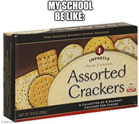 Assorted Crackers | MY SCHOOL BE LIKE: | image tagged in assorted crackers | made w/ Imgflip meme maker