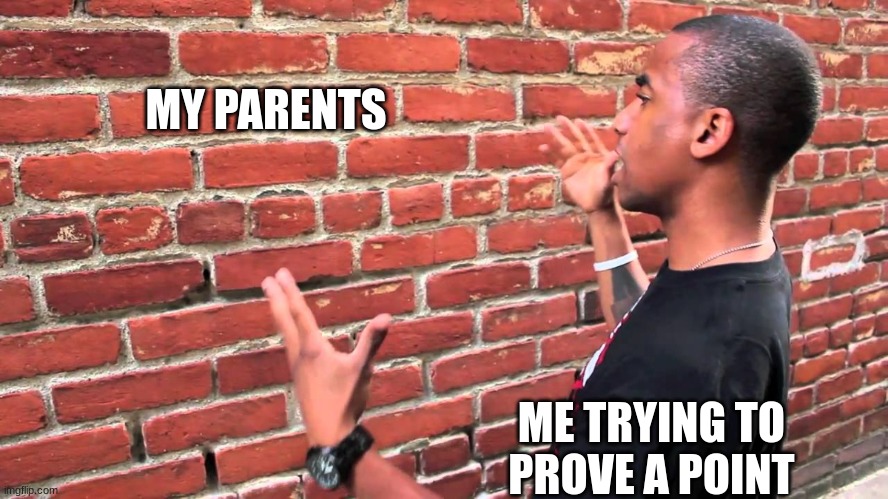 Talking To Brick Wall | MY PARENTS; ME TRYING TO PROVE A POINT | image tagged in talking to brick wall | made w/ Imgflip meme maker