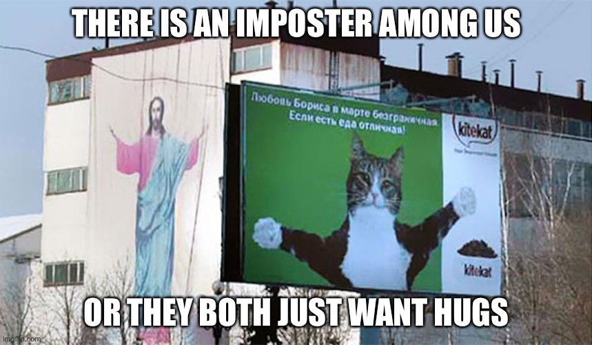 Imposter hugs | THERE IS AN IMPOSTER AMONG US; OR THEY BOTH JUST WANT HUGS | image tagged in cats,memes | made w/ Imgflip meme maker