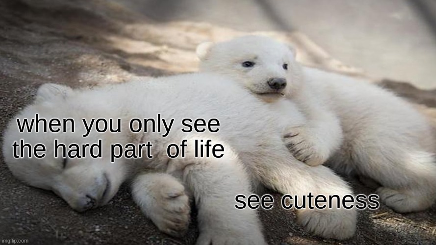 when you only see the hard part  of life; see cuteness | made w/ Imgflip meme maker