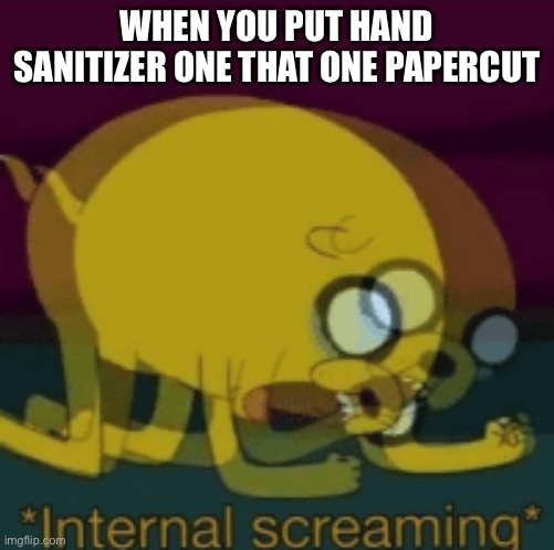 THE PAIN!!!!! | WHEN YOU PUT HAND SANITIZER ONE THAT ONE PAPERCUT | image tagged in jake the dog internal screaming | made w/ Imgflip meme maker