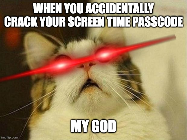 my dream | WHEN YOU ACCIDENTALLY CRACK YOUR SCREEN TIME PASSCODE; MY GOD | image tagged in memes,scared cat | made w/ Imgflip meme maker