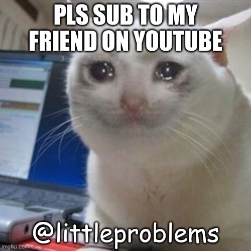 Crying cat | PLS SUB TO MY FRIEND ON YOUTUBE; @littleproblems | image tagged in crying cat | made w/ Imgflip meme maker