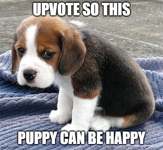 upvote please | UPVOTE SO THIS; PUPPY CAN BE HAPPY | image tagged in sad dog,upvote begging | made w/ Imgflip meme maker
