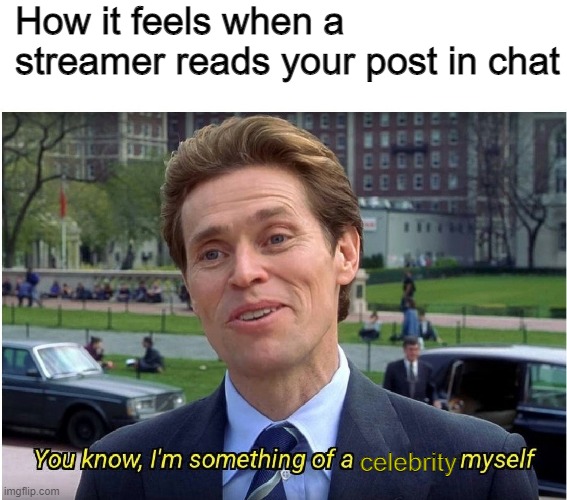 they call me mr celebrity man | How it feels when a streamer reads your post in chat; celebrity | image tagged in you know i'm something of a _ myself | made w/ Imgflip meme maker