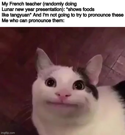 im sorry I was just crying internally there- | My French teacher (randomly doing Lunar new year presentation): *shows foods like tangyuan* And I'm not going to try to pronounce these
Me who can pronounce them: | image tagged in awkward cat | made w/ Imgflip meme maker