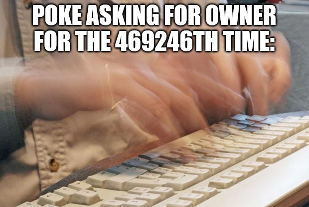 I suck cock for a living | POKE ASKING FOR OWNER FOR THE 469246TH TIME: | image tagged in typing fast | made w/ Imgflip meme maker