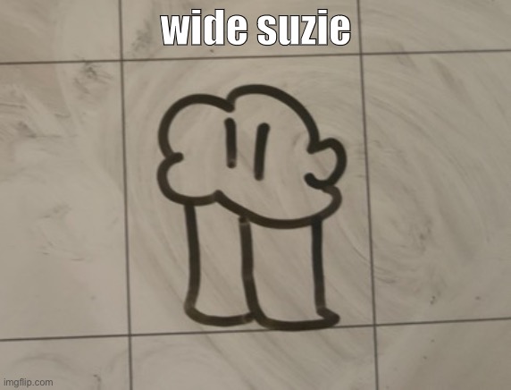 the cinny | wide suzie | image tagged in the cinny | made w/ Imgflip meme maker