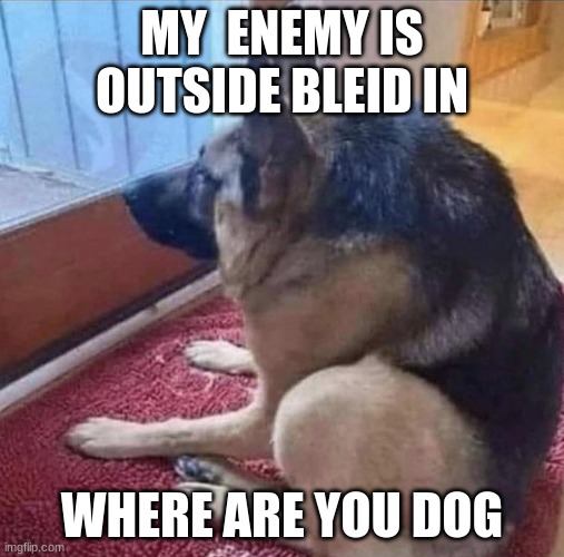 What the dog doin | MY  ENEMY IS OUTSIDE BLEID IN; WHERE ARE YOU DOG | image tagged in what the dog doin | made w/ Imgflip meme maker