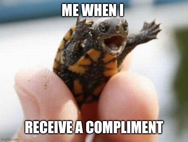 Especially from him | ME WHEN I; RECEIVE A COMPLIMENT | image tagged in happy baby turtle,happy | made w/ Imgflip meme maker