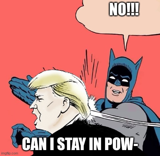Batman slaps Trump |  NO!!! CAN I STAY IN POW- | image tagged in batman slaps trump,donald trump | made w/ Imgflip meme maker