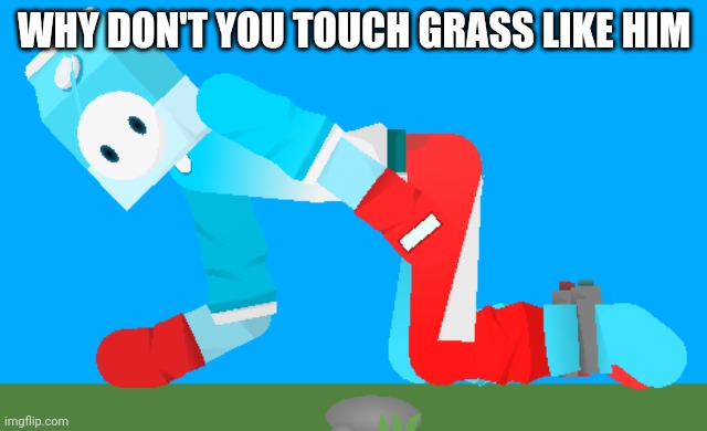 WHY DON'T YOU TOUCH GRASS LIKE HIM | image tagged in milky touches grass mp4 | made w/ Imgflip meme maker