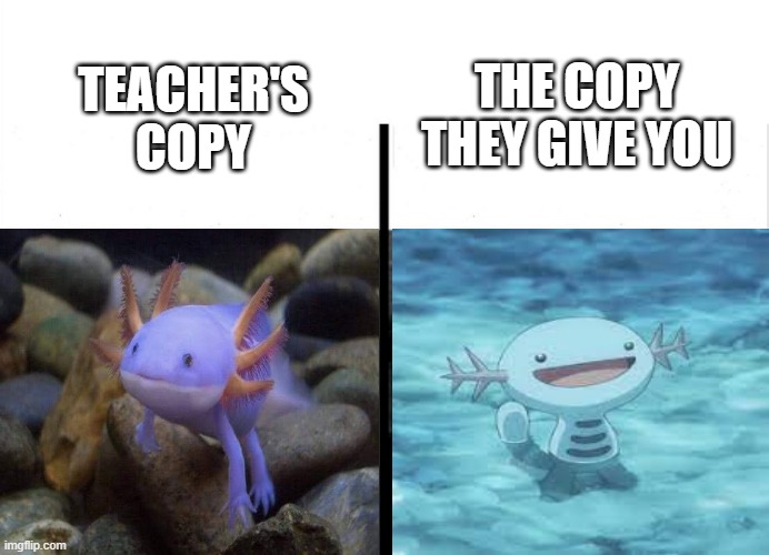 Wooper | THE COPY THEY GIVE YOU; TEACHER'S COPY | image tagged in teacher's copy,wooper,axolotl | made w/ Imgflip meme maker