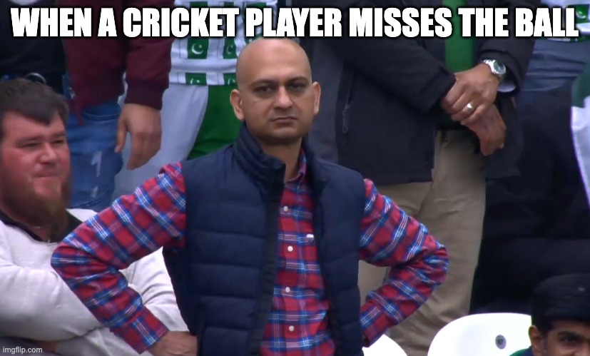 Disappointed Cricket Fan | WHEN A CRICKET PLAYER MISSES THE BALL | image tagged in disappointed cricket fan | made w/ Imgflip meme maker