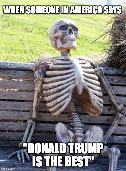 Waiting Skeleton | WHEN SOMEONE IN AMERICA SAYS; "DONALD TRUMP IS THE BEST" | image tagged in memes,waiting skeleton | made w/ Imgflip meme maker