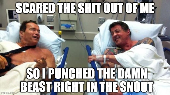 arnold and stallone hospital | SCARED THE SHIT OUT OF ME SO I PUNCHED THE DAMN BEAST RIGHT IN THE SNOUT | image tagged in arnold and stallone hospital | made w/ Imgflip meme maker