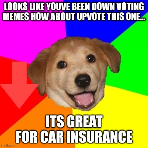 Advice Dog | LOOKS LIKE YOUVE BEEN DOWN VOTING MEMES HOW ABOUT UPVOTE THIS ONE... ITS GREAT FOR CAR INSURANCE | image tagged in memes,advice dog | made w/ Imgflip meme maker