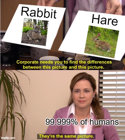 They're The Same Picture | Rabbit; Hare; 99.999% of humans | image tagged in memes,they're the same picture | made w/ Imgflip meme maker