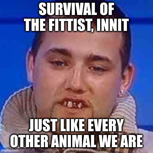 Innit | SURVIVAL OF THE FITTIST, INNIT JUST LIKE EVERY OTHER ANIMAL WE ARE | image tagged in innit | made w/ Imgflip meme maker