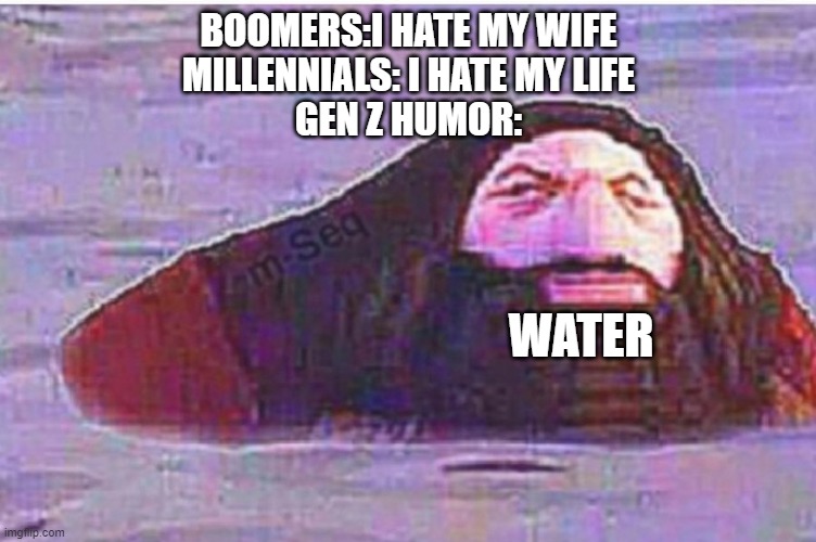 e | BOOMERS:I HATE MY WIFE
MILLENNIALS: I HATE MY LIFE
GEN Z HUMOR:; WATER | image tagged in e | made w/ Imgflip meme maker