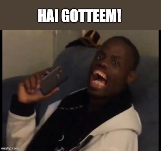 HA! Got him! | HA! GOTTEEM! | image tagged in ha got him | made w/ Imgflip meme maker