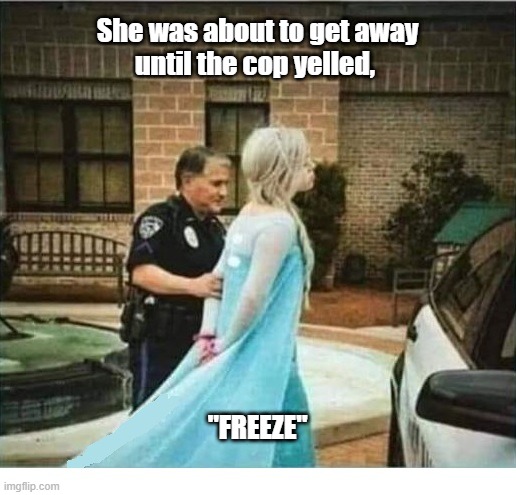 Cop Yelled Freeze | She was about to get away
until the cop yelled, "FREEZE" | image tagged in cosplay,frozen | made w/ Imgflip meme maker