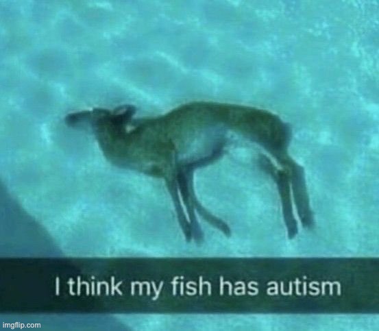 yup | image tagged in memes,unfunny | made w/ Imgflip meme maker