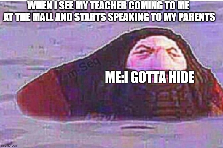 e | WHEN I SEE MY TEACHER COMING TO ME  AT THE MALL AND STARTS SPEAKING TO MY PARENTS; ME:I GOTTA HIDE | image tagged in e | made w/ Imgflip meme maker