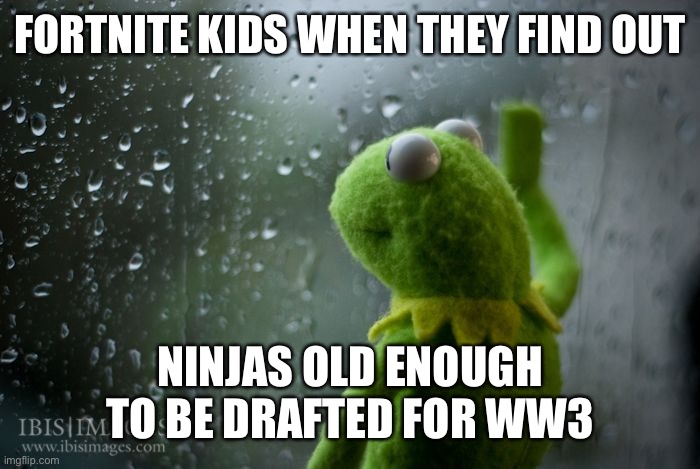 kermit window | FORTNITE KIDS WHEN THEY FIND OUT; NINJAS OLD ENOUGH TO BE DRAFTED FOR WW3 | image tagged in kermit window | made w/ Imgflip meme maker