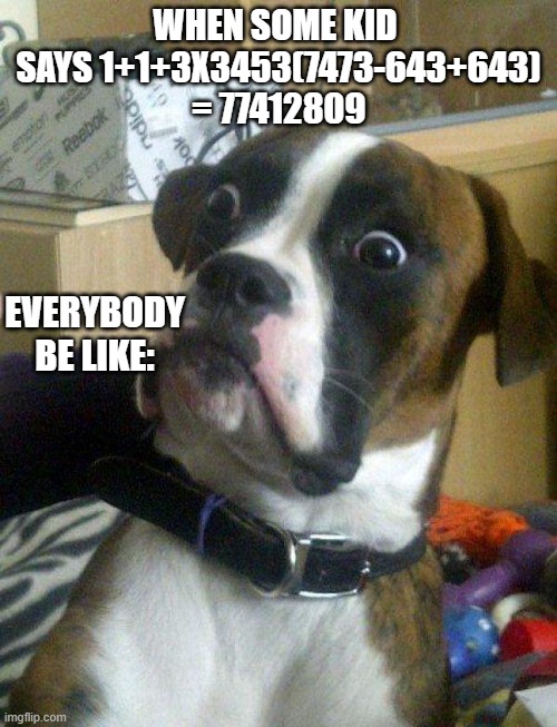 Blankie the Shocked Dog | WHEN SOME KID  SAYS 1+1+3X3453(7473-643+643) = 77412809; EVERYBODY BE LIKE: | image tagged in lol,funny,lol so funny,lolol | made w/ Imgflip meme maker