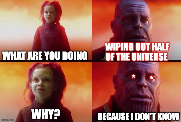 Just the regular THANOS | WIPING OUT HALF OF THE UNIVERSE; WHAT ARE YOU DOING; *; *; BECAUSE I DON'T KNOW; WHY? | image tagged in what did it cost | made w/ Imgflip meme maker