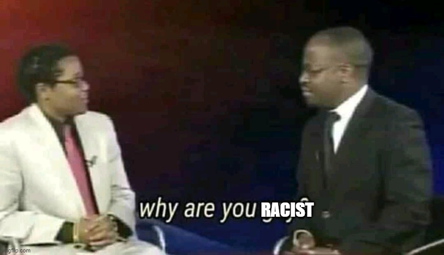 Why are you gay? | RACIST | image tagged in why are you gay | made w/ Imgflip meme maker