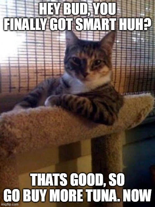 He wants tuna | HEY BUD, YOU FINALLY GOT SMART HUH? THATS GOOD, SO GO BUY MORE TUNA. NOW | image tagged in memes,the most interesting cat in the world,cat | made w/ Imgflip meme maker