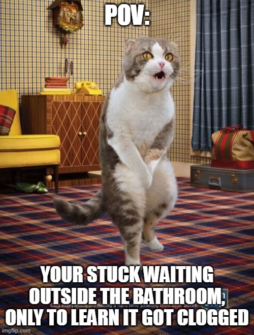 Dont think about water... | POV:; YOUR STUCK WAITING OUTSIDE THE BATHROOM, ONLY TO LEARN IT GOT CLOGGED | image tagged in memes,gotta go cat,cats,pov,bathroom humor | made w/ Imgflip meme maker