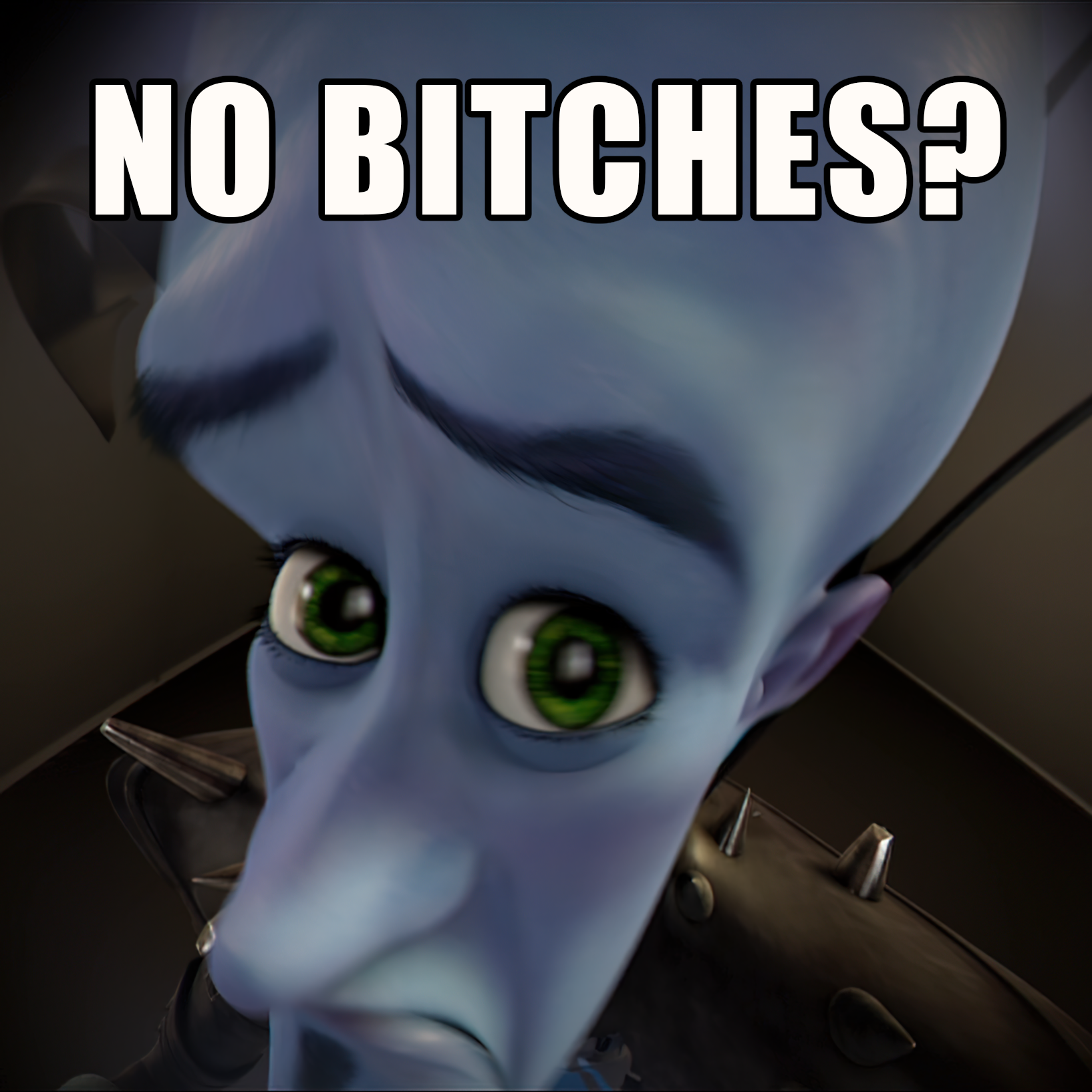 Megamind no bitches Blank Meme Template