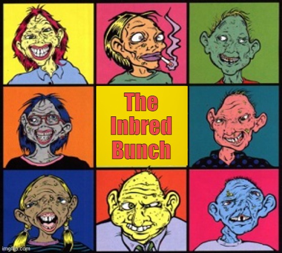 fAmiLy | The Inbred Bunch | image tagged in incest,inbred,gene pool,procreation,talmudic,abrahamic | made w/ Imgflip meme maker