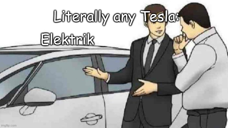 Elektrik Kar | Literally any Tesla:; Elektrik | image tagged in memes,car salesman slaps roof of car | made w/ Imgflip meme maker