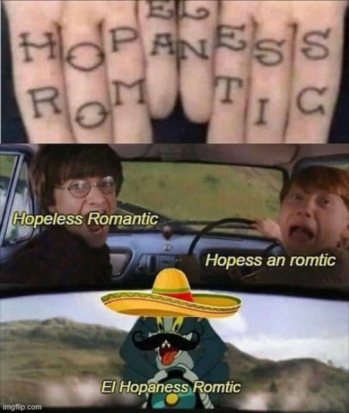 el hopaness tomtic | image tagged in tom chasing harry and ron weasly,harry potter meme,harry potter,tom and jerry meme,hands | made w/ Imgflip meme maker