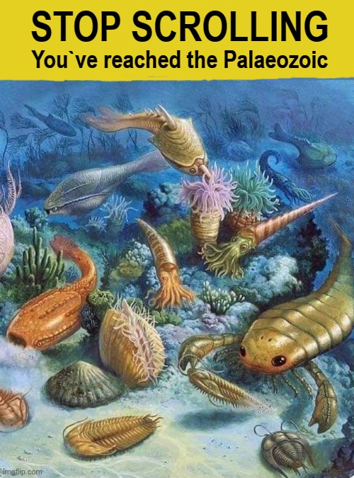 Scrolling ends here ! | STOP SCROLLING; You`ve reached the Palaeozoic | image tagged in palaeontology memes | made w/ Imgflip meme maker