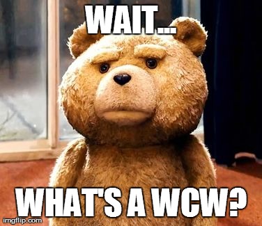 TED Meme | WAIT... WHAT'S A WCW? | image tagged in memes,ted | made w/ Imgflip meme maker