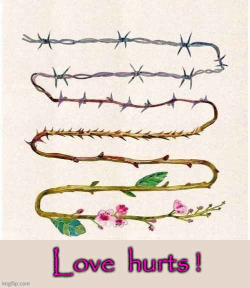 Feelings change ! | Love  hurts ! | image tagged in why must you hurt me in this way | made w/ Imgflip meme maker