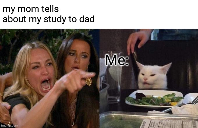 Woman Yelling At Cat Meme | my mom tells about my study to dad; Me: | image tagged in memes,woman yelling at cat | made w/ Imgflip meme maker