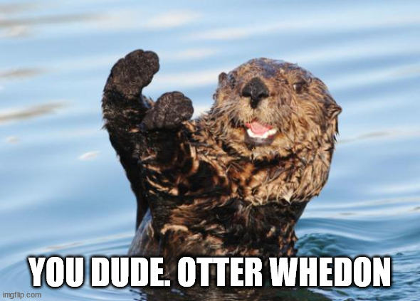 otter celebration | YOU DUDE. OTTER WHEDON | image tagged in otter celebration | made w/ Imgflip meme maker